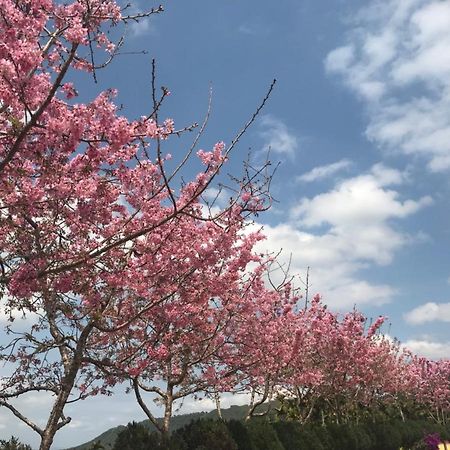溪頭吉野民宿ji-Ye Lugu Buitenkant foto